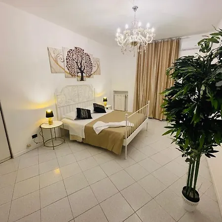 Vitti's 2 Verona